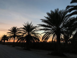 Sonnenuntergang am Strand