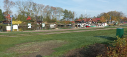 IMG_20221031_103239.jpg