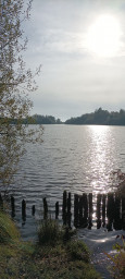 IMG_20221031_114112.jpg