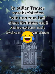 strich.jpg