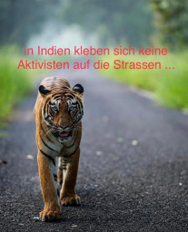 Zitate In Indien kleben sich keine Aktivisten auf die Strassen.jpg