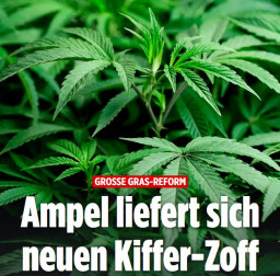 Prost.JPG
