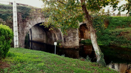 20221110_171042.jpg
