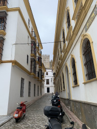Tarifa