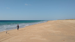 P1030487-2.jpg