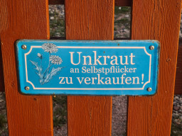 20220807_201032.jpg