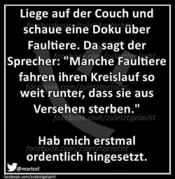 Faultiere.jpg