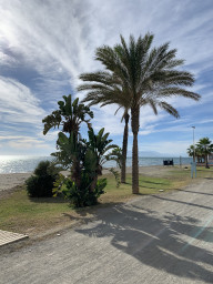 Am Strand