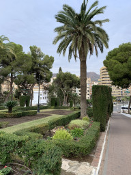 Motril 3