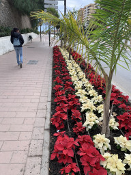Motril 5