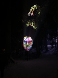 IMG_3332.jpeg