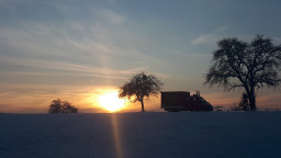 20221217_160428.jpg