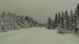 IMG_3655.jpg