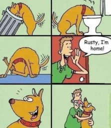 Hund.jpg
