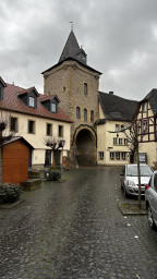 10FE9889-390C-44CE-8801-A17536C042CB.jpeg
