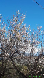 20230118_095507.jpg