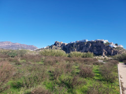 20230119_114707.jpg