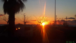 IMG-20230120-WA0001.jpg