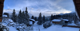IMG_3410.jpeg