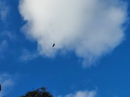 20230124_110258.jpg