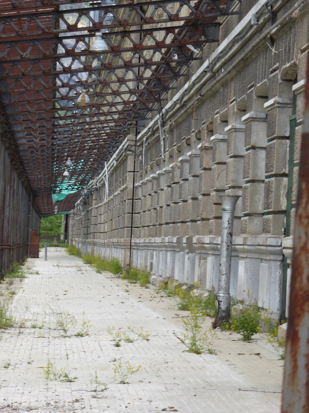 P1030324.JPG