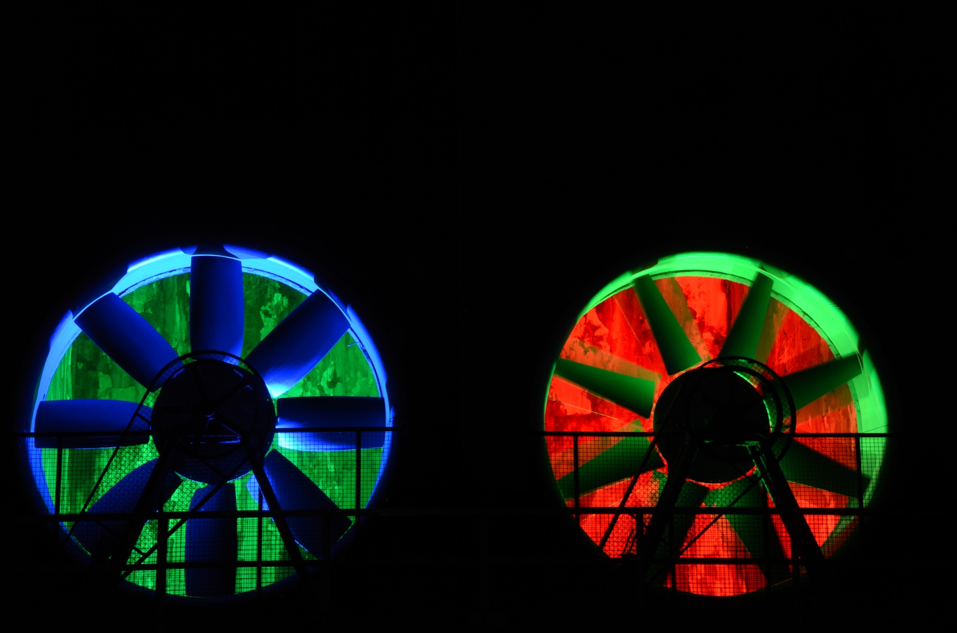 DSC_6441.JPG