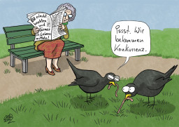 vogel.jpg