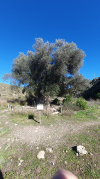20230131_144458.jpg