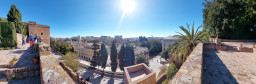20230131_123535.jpg