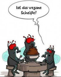 schei.JPG