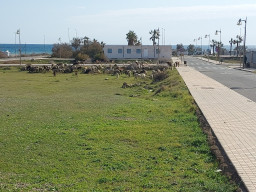 20230208_145553.jpg