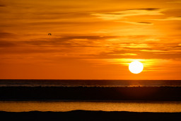 _DSC2153.jpg