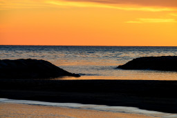 _DSC2150.jpg