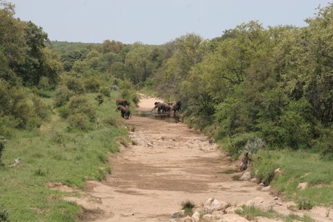 IMG_0630.jpg