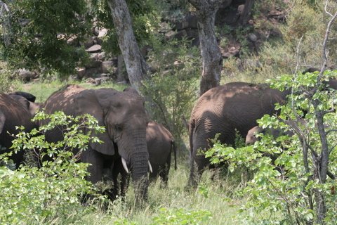 IMG_0634.jpg