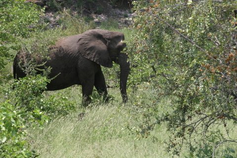 IMG_0636.jpg