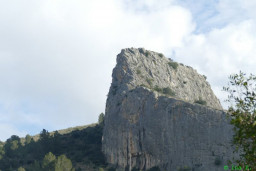P1260433.JPG