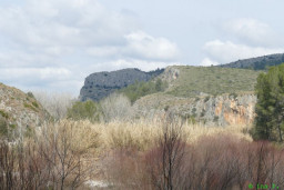 P1260445.JPG