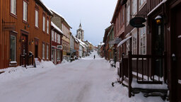 IMG_5295.jpg