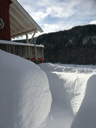 IMG_20230224_133146.jpg
