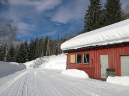Platz mit Traktor und Fräse frei geräumt ;-)