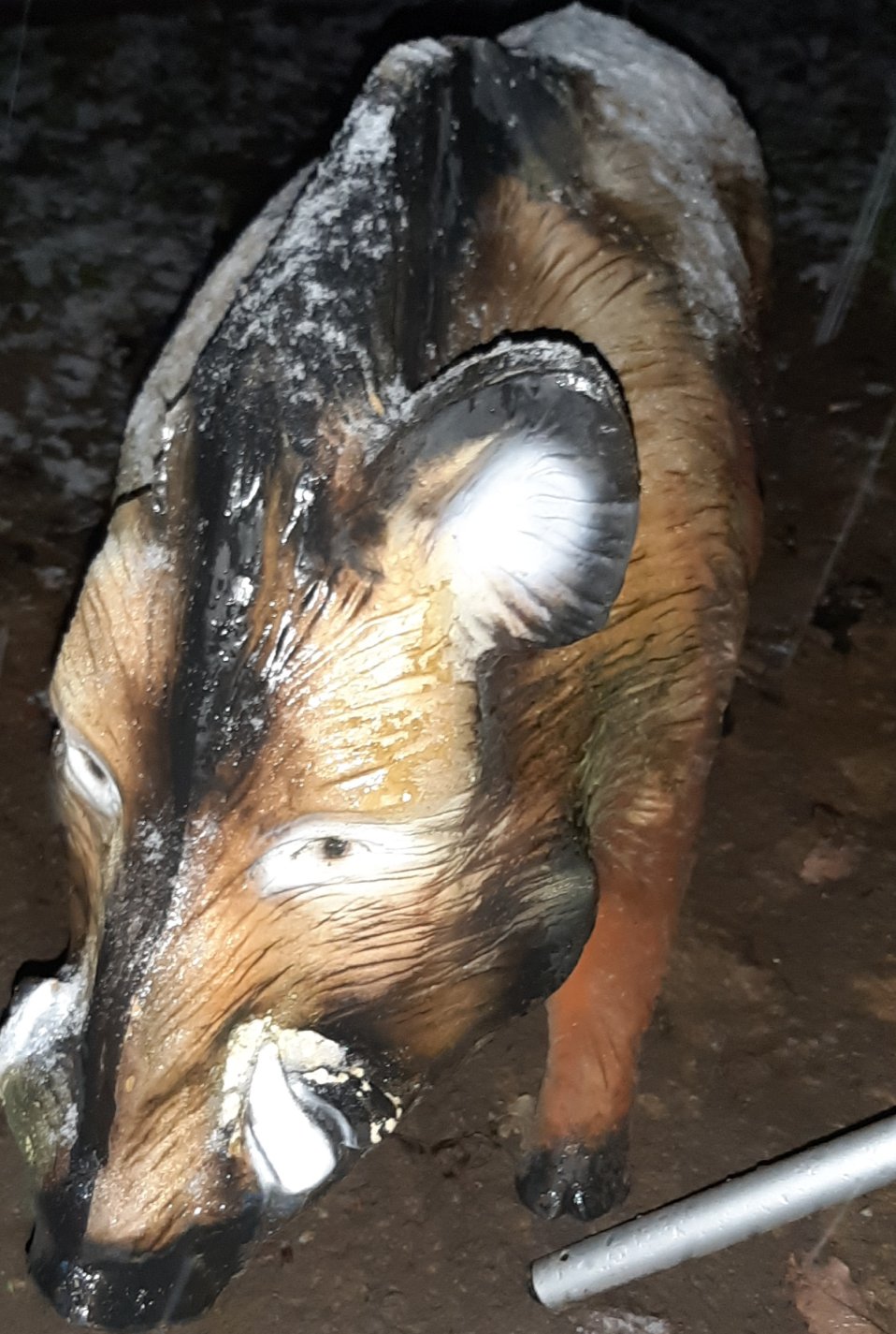 20201228_233709.jpg