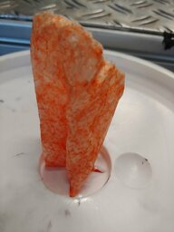20230313_161040.jpg