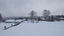 DSC00416.jpg