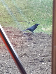 20230313_110408.jpg