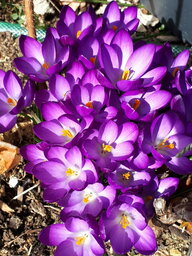 20230313_120510.jpg