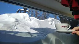 IMG_20230314_112435.jpg