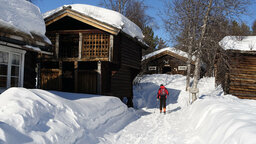 DSC00473.jpg