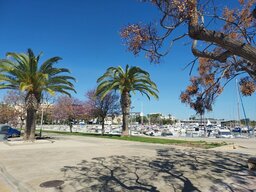 20230315_121648.jpg