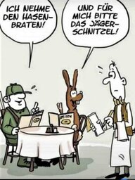 hase.jpg